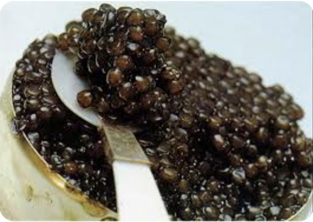 خرید خاویار بلوگا