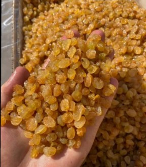 کشمش زرد ملایر + قيمت عالی