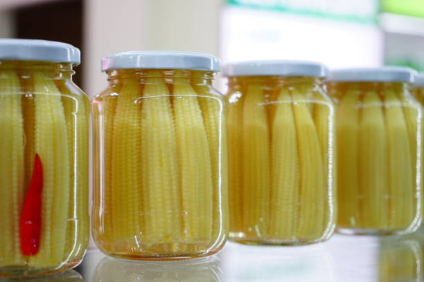 خرید و فروش کنسرو بی بی کرن با شرایط فوق العاده