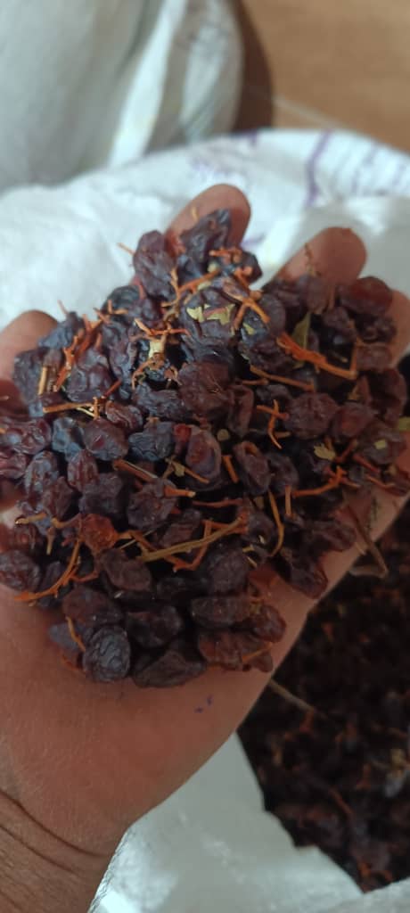 تصویر 2 از قیمت مویز دیم آب گیری + خرید مستقیم