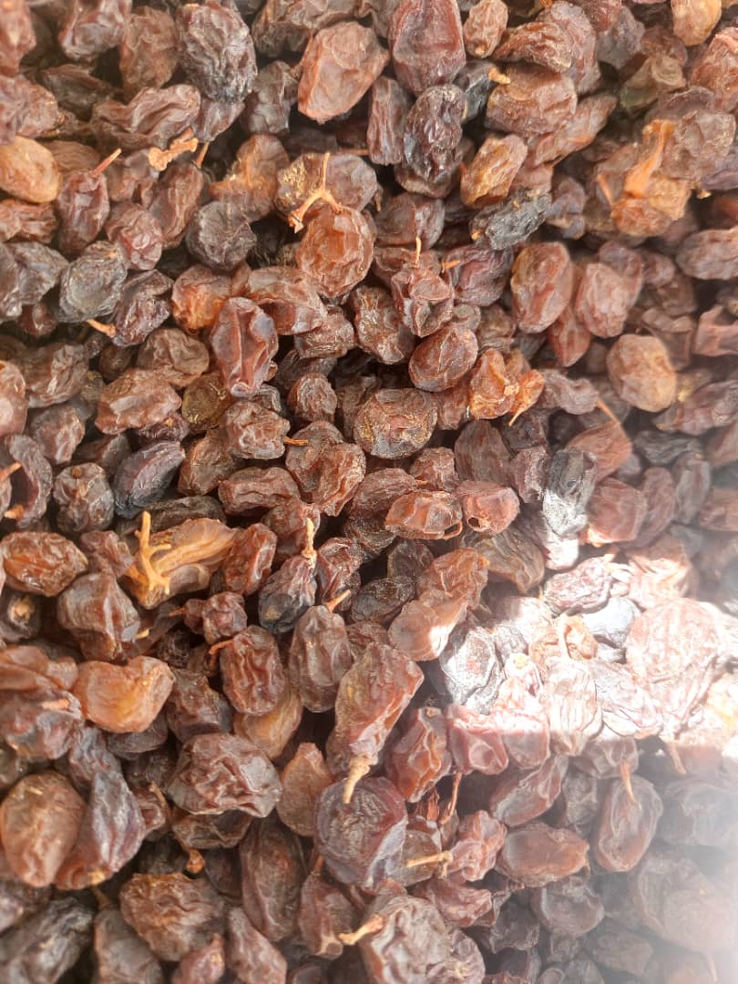 تصویر 1 از قیمت مویز دیم آب گیری + خرید مستقیم