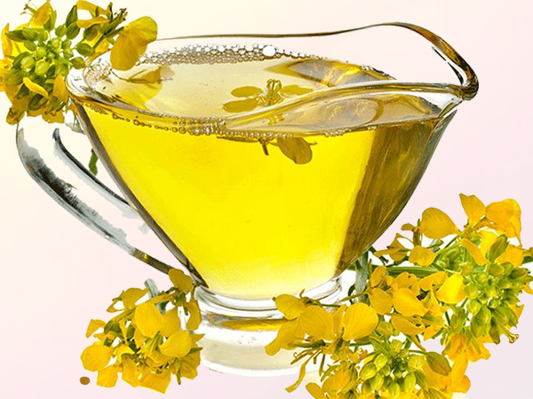 فروش اسانس باریجه طبیعی گرید A