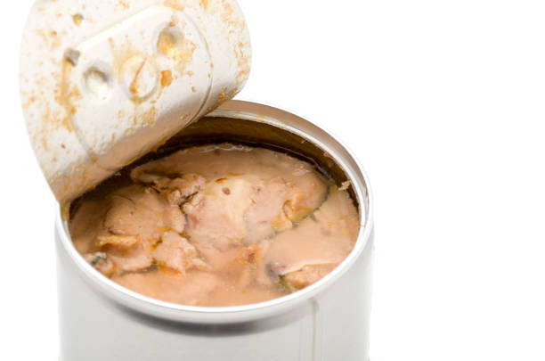 خرید و قیمت کنسرو مرغ ارزان + فروش عمده