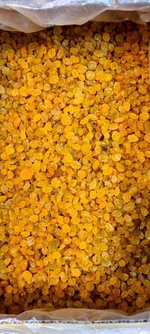 کشمش گلدن پلویی ملایر با قیمت رقابتی