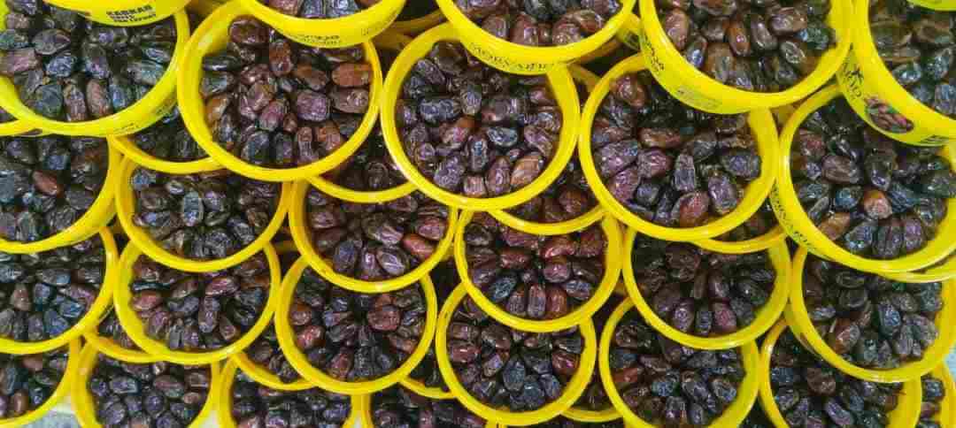 خرید و قیمت خرمای کبکاب بهبهان + فروش صادراتی