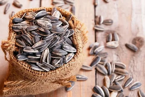 فروش تخمه آفتابگردان ایرانی + قیمت خرید به صرفه