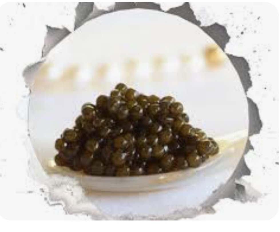 خرید خاویار بلوگا