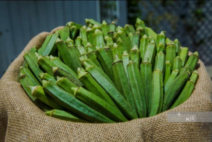 تصویر 2 از فروش گیاه گل همیشه بهار خشک یا پودری + قیمت خرید به صرفه