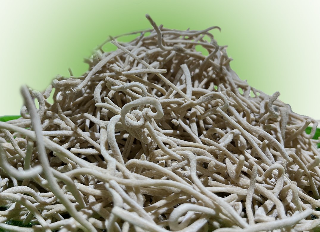 خرید رشته آشی 400 گرمی + بهترین قیمت