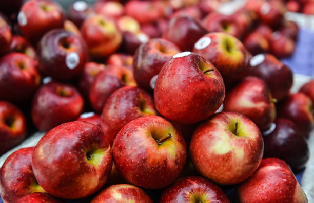 خرید و قیمت سیب + فروش عمده