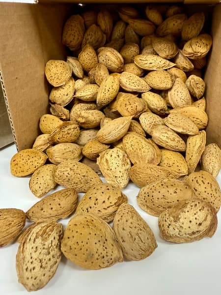 بهترین بادام درختی ایرانی + قیمت خرید عالی