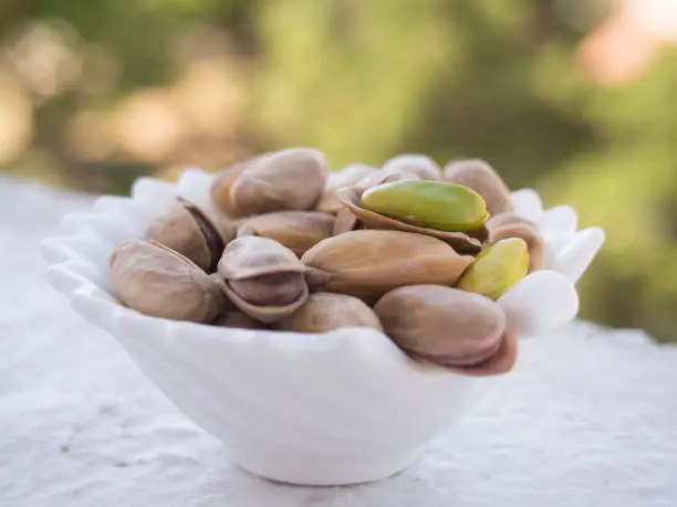 خرید و قیمت پسته اکبری فوق اعلا + فروش صادراتی