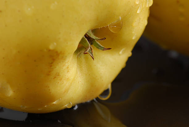 خرید و فروش سیب زرد ارگانیک با شرایط فوق العاده