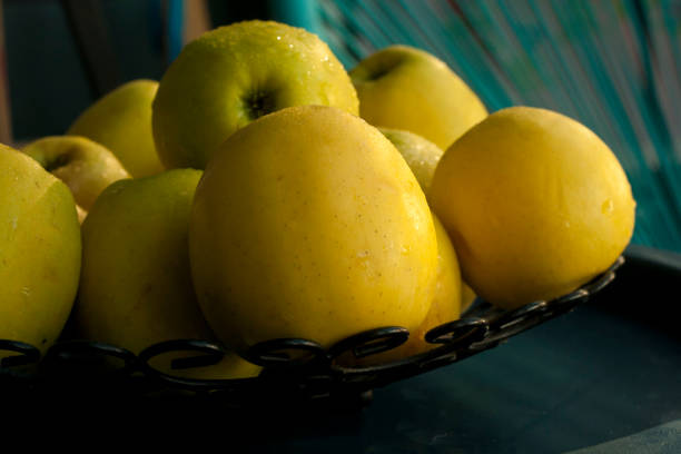 قیمت خرید سیب درختی زرد مراغه  با فروش عمده