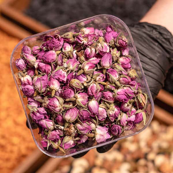 قیمت روز غنچه گل محمدی عمده