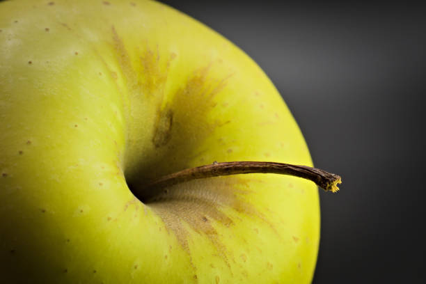 قیمت خرید سیب زرد شیشه ای + فروش ویژه