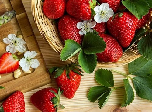 خرید و قیمت توت فرنگی خشک + فروش عمده