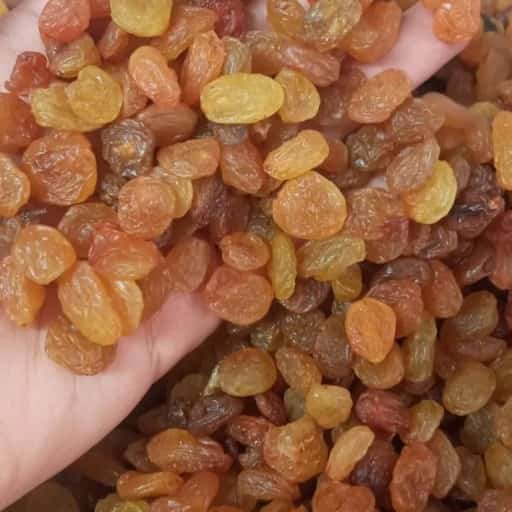 خرید کشمش قزوین + قیمت فروش استثنایی