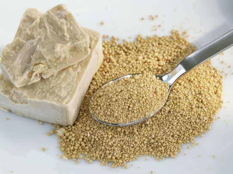 خرید و قیمت خمیر مایه خشک + فروش عمده