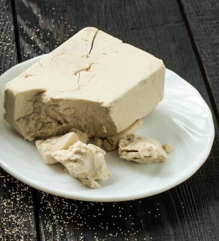 تصویر 4 از خرید و قیمت خمیر مایه فشرده + فروش عمده