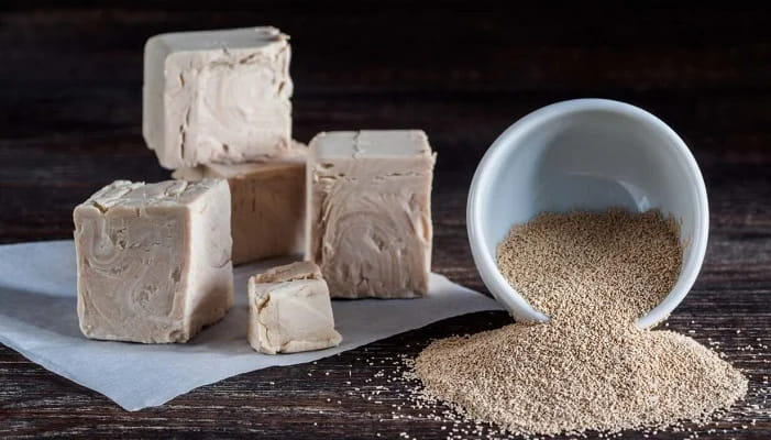 تصویر 2 از خرید و قیمت خمیر مایه فشرده + فروش عمده