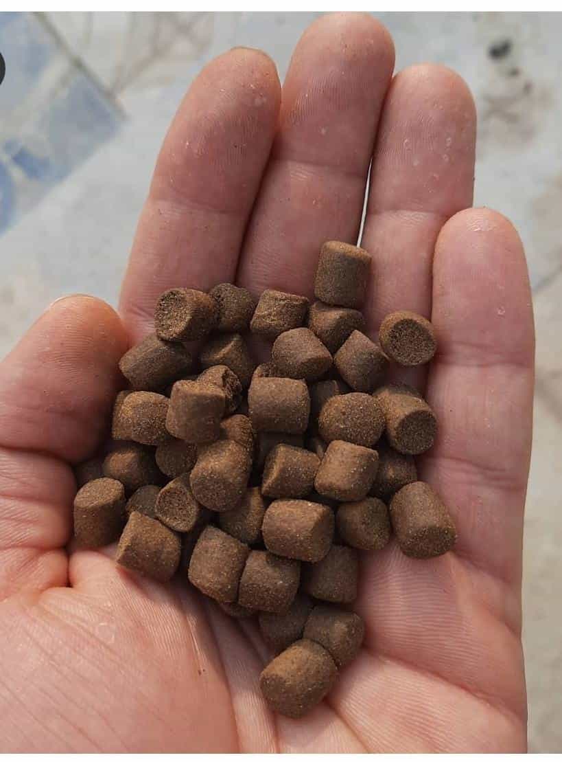 تصویر 3 از خرید و قیمت دستگاه های تولید خوراک دام و طیور + فروش عمده