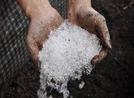 تصویر 2 از قیمت خرید هیدروژل نانو کامپوزیتی کشاورزی عمده به صرفه و ارزان