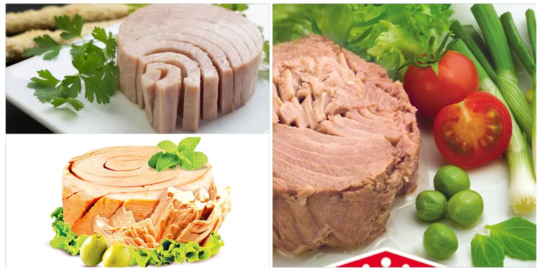 خرید انواع تن ماهی