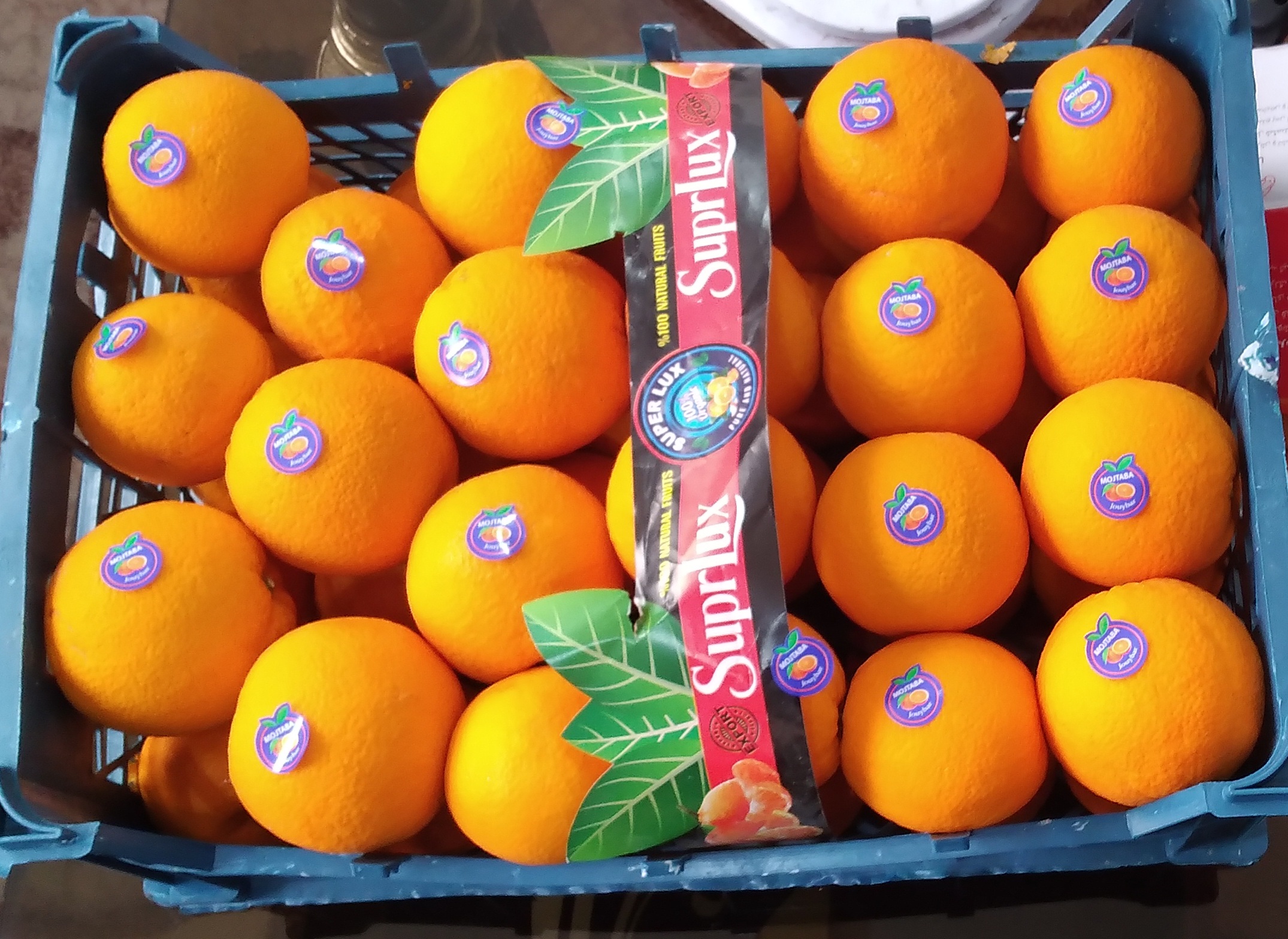 فروش پرتقال تامسون تازه چین از باغهای قائمشهر