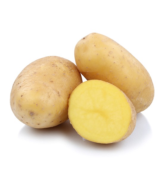 خرید و فروش سیب زمینی سانتانا رستورانی با شرایط فوق العاده