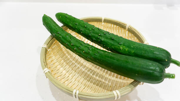 خرید خیار قلمی بوته ای + قیمت فروش استثنایی