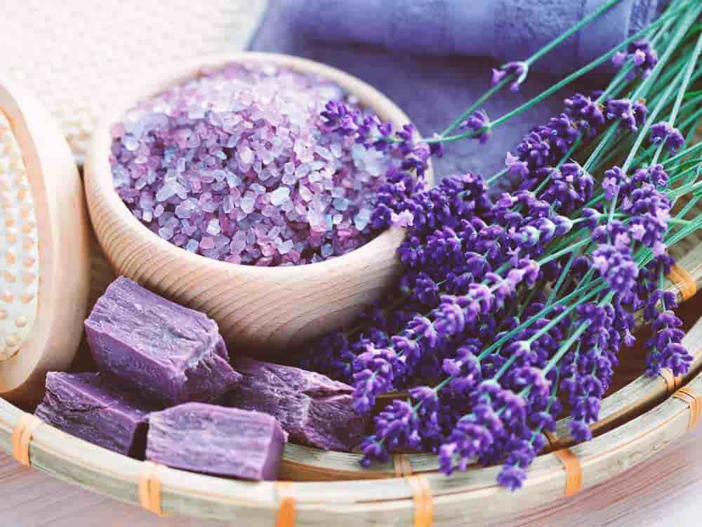 قیمت خرید اسطو خودوس فله ای با فروش عمده