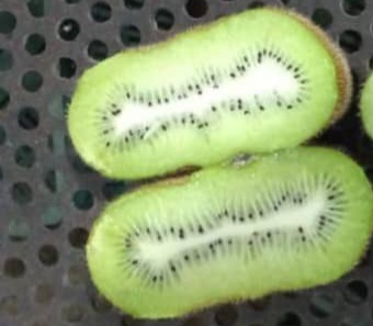 فروش کیوی هایوارد طلایی به صورت فله و سورت شده