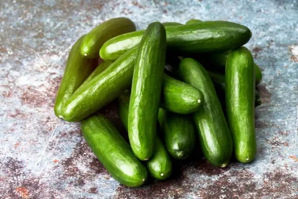 قیمت خیار قلمی ریز با کیفیت ارزان + خرید عمده