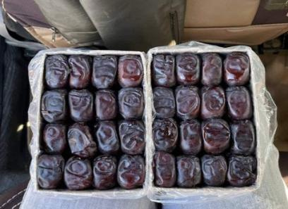 قیمت خرید خرما مضافتی ارزان با فروش عمده