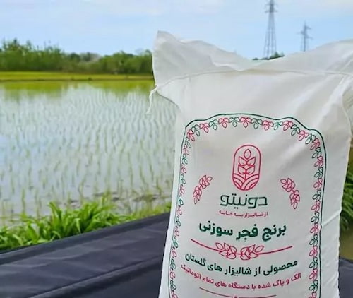 خرید و قیمت برنج فجر سوزنی + فروش عمده