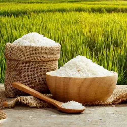 قیمت برنج فجر ارگانیک + خرید باور نکردنی