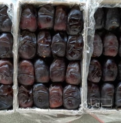 فروش خرما مضافتی صادارت درجه یک جیرفت