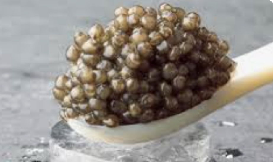 خرید خاویار بلوگا