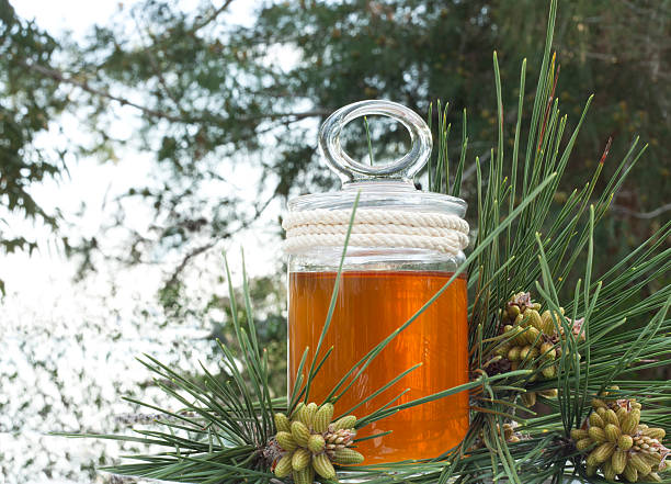 قیمت عسل جنگلی + خرید باور نکردنی