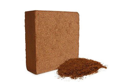 تصویر 1 از خرید و قیمت کوکوپیت سریلانکایی قالب 5 کیلویی + فروش رقابتی