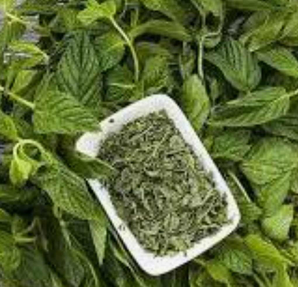 نعنا ریز برگ بهترین قیمت خرید