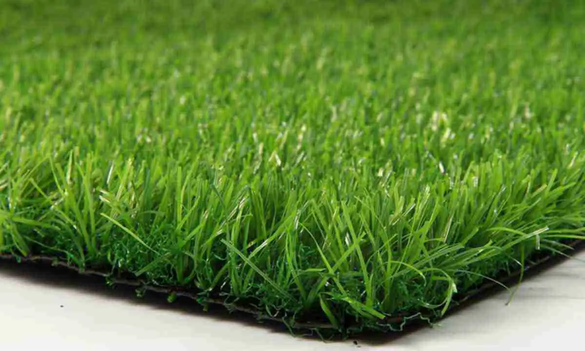 فروش چمن با الیاف مصنوعی