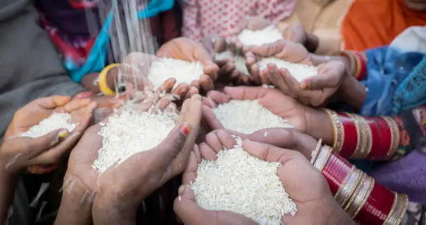 قیمت برنج هندی خوب با کیفیت ارزان + خرید عمده