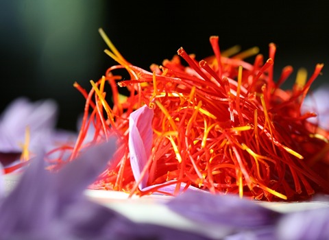 قیمت زعفران نگین نیمه قرمز + خرید باور نکردنی