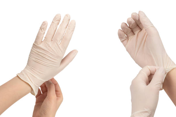 قیمت خرید دستکش لاتکس بدون پودر لارج با فروش عمده