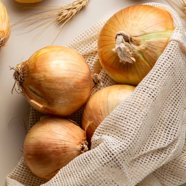 قیمت خرید پیاز خورشت گیلانی با فروش عمده