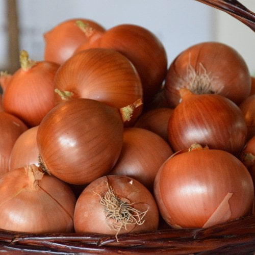 فروش پیاز سماقی + قیمت خرید به صرفه