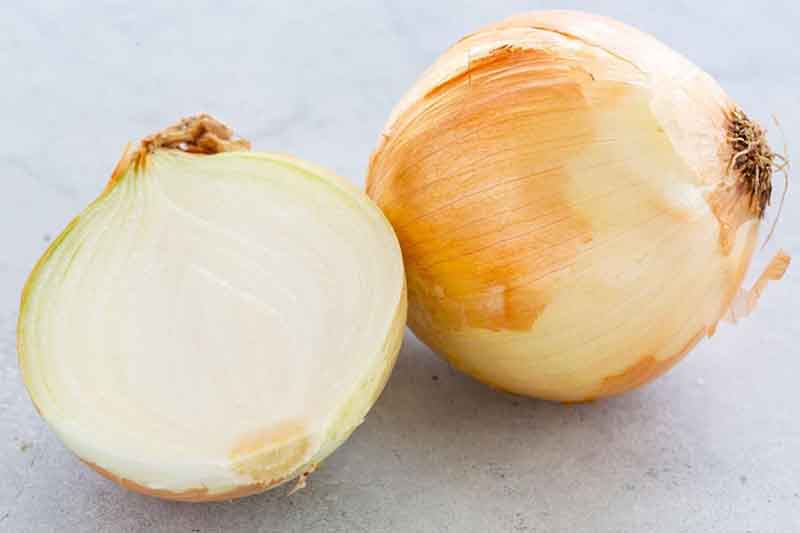 قیمت پیاز صیفی جات + خرید باور نکردنی