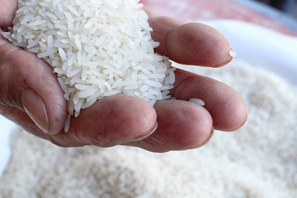 قیمت برنج ایرانی + فروش فوق العاده